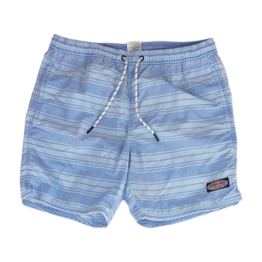 Blue Striped Swim Shorts