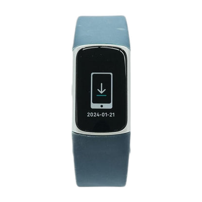 Charge 5 Silver Activity Tracker Blue Band L