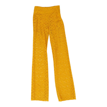 Mustard Solid Pants