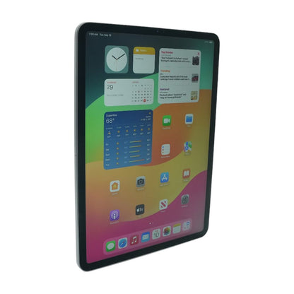 iPad Pro 11" Space Gray 2nd Generation 256GB Wi-Fi