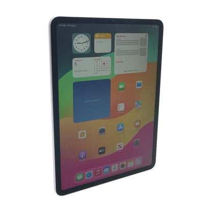 iPad Pro 11" Space Gray 4th Generation 256GB Wi-Fi