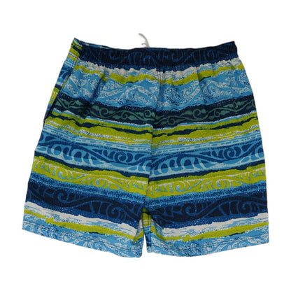 Blue Striped Swim Shorts