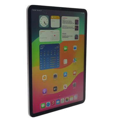 iPad Pro 11" Space Gray 2nd Generation 256GB Wi-Fi