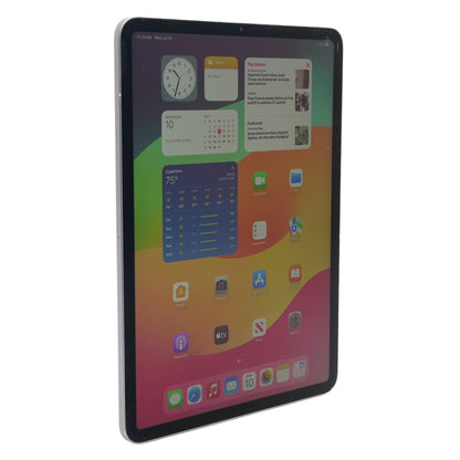 iPad Pro 11" Space Gray 2nd Generation 1TB Wi-Fi