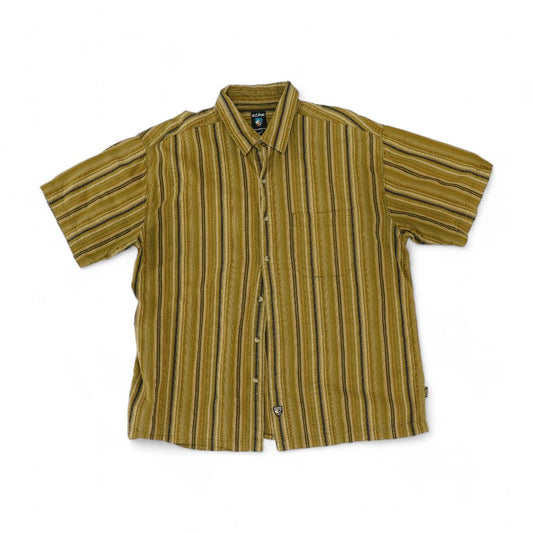 Brown Striped Short Sleeve Button Down