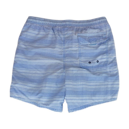 Blue Striped Swim Shorts