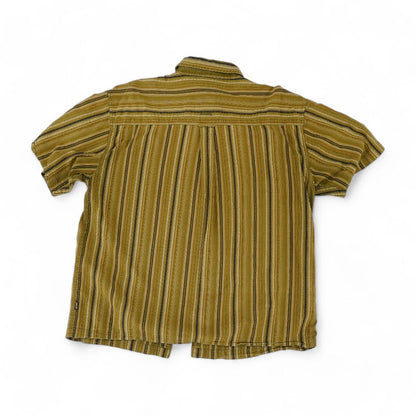 Brown Striped Short Sleeve Button Down