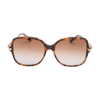 Tortoise SF990SR Square Sunglasses