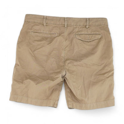 Khaki Solid Khaki Shorts