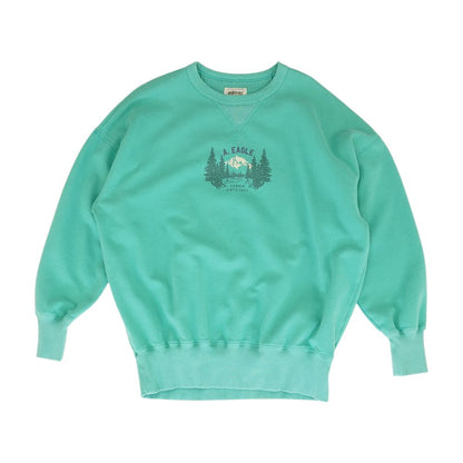 Green Solid Sweatshirt