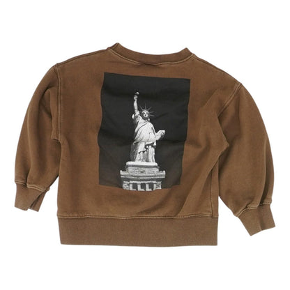 Brown Solid Sweatshirt