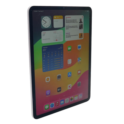 iPad Pro 11" Space Gray 4th Generation 256GB Wi-Fi