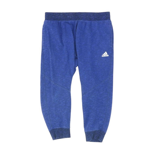 Blue Solid Active Pants